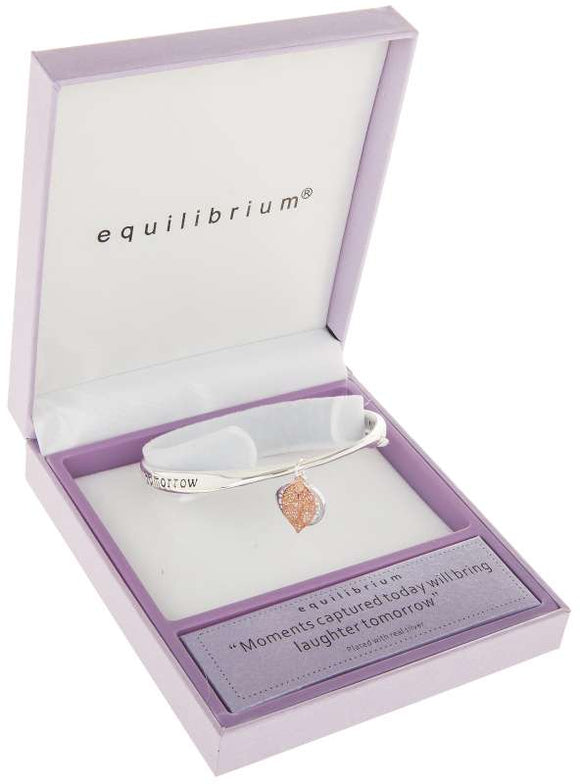Equilibrium Silver Plated Bangle 