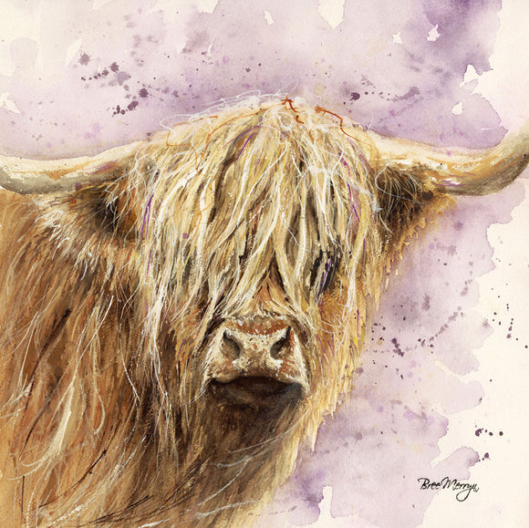 Bree Merryn  Box Canvas Print Archibald Highland Cattle 40cm x 40cm Boxed - Gifteasy Online
