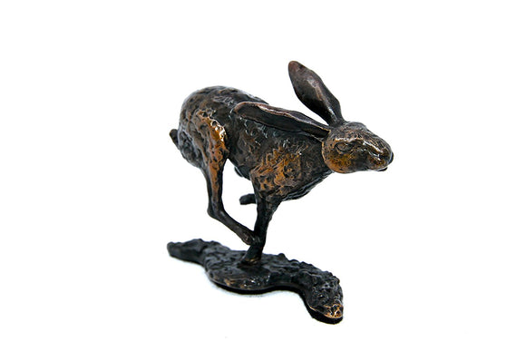 Unique Bronze Hot Cast Solid Bronze Speedy Hare - Gifteasy Online