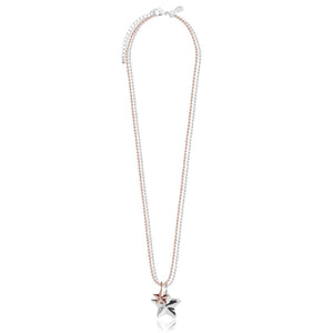 ISSY Star Necklace By Joma Jewellery - Gifteasy Online