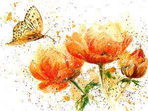 Bree Merryn Apricot Dream Canvas Cutie - Gifteasy Online