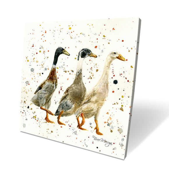 Bree Merryn Three Duckgrees Duck Canvas - Gifteasy Online