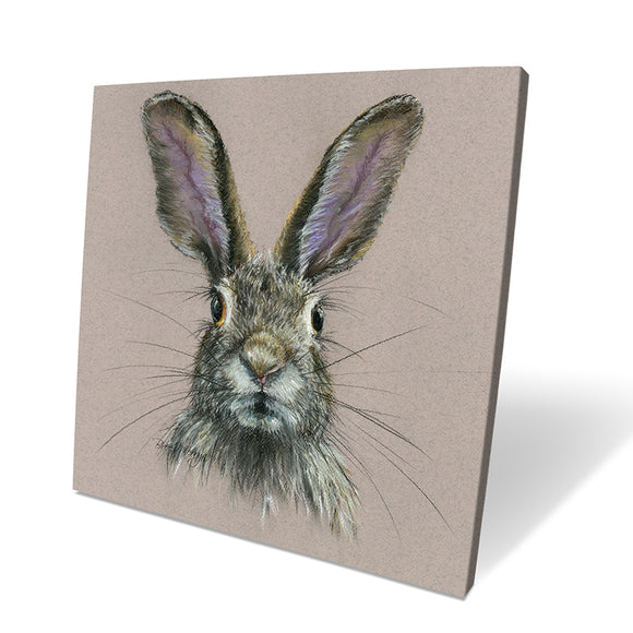 Bree Merryn Harper Hare  Canvas - Gifteasy Online