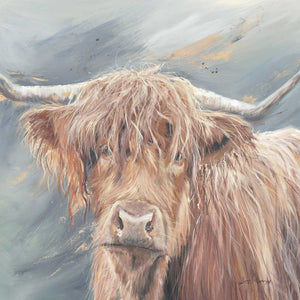 Bree Merryn  Box Canvas Print Bonnie Highland Cattle 40cm x 40cm Boxed. - Gifteasy Online