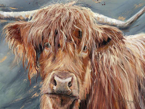 Bree Merryn Canvas Cuties Bonny Highland Cattle Canvas 15cm x 20cm - Gifteasy Online