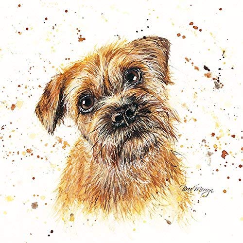 Bree Merryn Buddy Border Terrier Canvas Print 40cm - Gifteasy Online