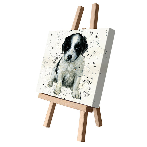 Bree Merryn Patch Puppy Cutie Canvas - Gifteasy Online