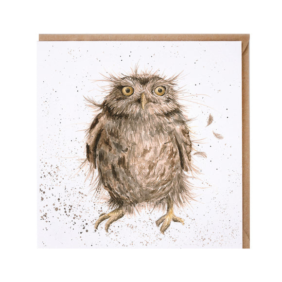 Wrendale 'What A Hoot' Card - Gifteasy Online