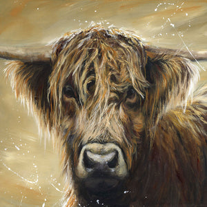 Bree Merryn  Box Canvas Print Hamish Highland Cattle 40cm x 40cm Bree Merryn - Gifteasy Online
