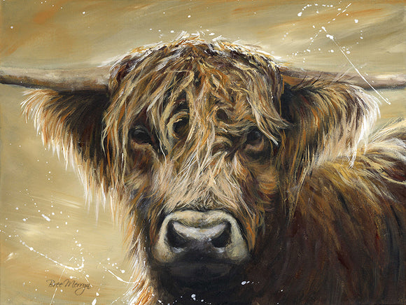 Bree Merryn Canvas Cuties Colourful Hamish Highland Cattle Canvas - Gifteasy Online