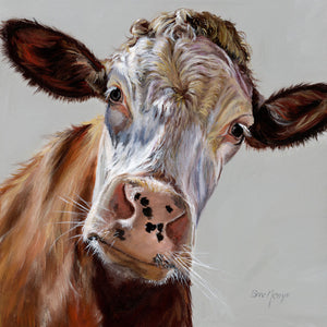 Bree Merryn  Box Canvas Print Colourful Delilah Cow 40cm x 40cm Boxed - Gifteasy Online