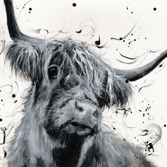 Bree Merryn  Box Canvas Print Dougal Highland Cattle 40cm x 40cm Boxed - Gifteasy Online