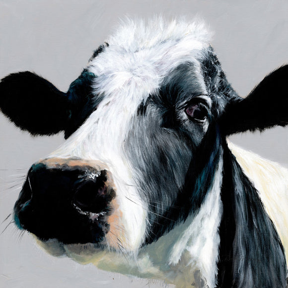 Bree Merryn  Box Canvas Print Colourful Elsie Cow 40cm x 40cm - Gifteasy Online