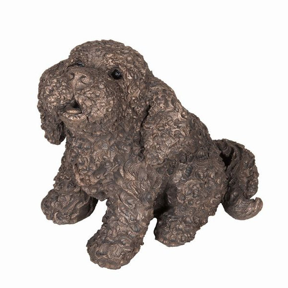 Frith Frankie Cockapoo Sitting - Gifteasy Online