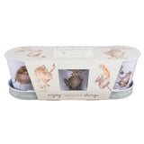 Wrendale Countryside Herb Pots with Tray - Gifteasy Online