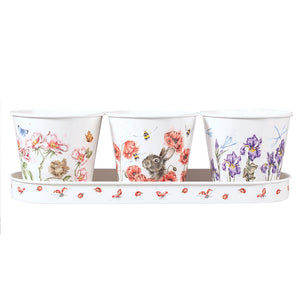 Wrendale Countryside Herb Pots with Tray - Gifteasy Online