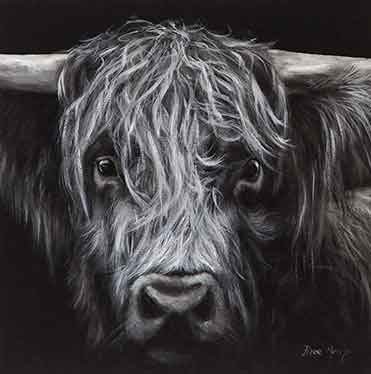 Bree Merryn  Box Canvas Print Dark Hamish Highland Cattle 40cm x 40cm Boxed - Gifteasy Online