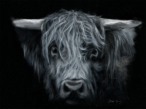 Canvas Cuties Hamish Highland Cattle Canvas 15 x 20cm - Gifteasy Online
