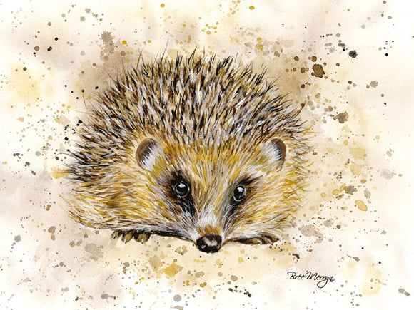Bree Merryn Canvas Cuties Harley hedgehog Canvas 15 x 20cm Boxed - Gifteasy Online