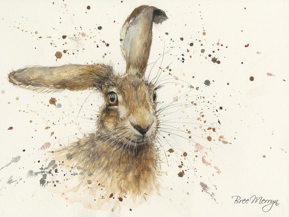 Bree Merryn Canvas Cuties Harriet Hare Canvas 15 x 20cm Boxed - Gifteasy Online