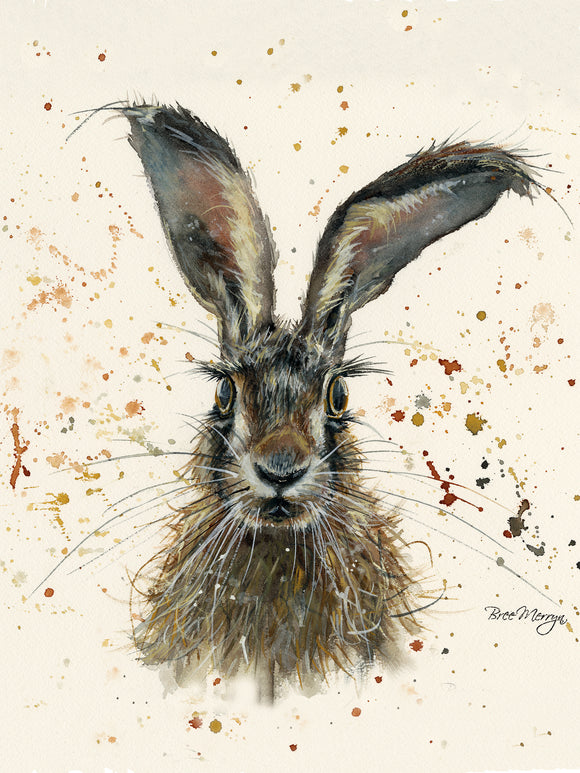 Bree Merryn Canvas Cuties Hazel Hare Canvas 15 x 20cm Boxed - Gifteasy Online