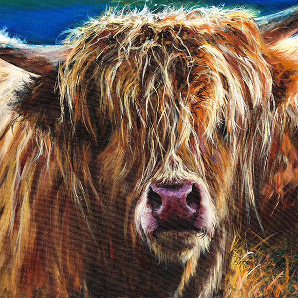 Bree Merryn Hetty Highland Cattle Canvas Print 40cm - Gifteasy Online