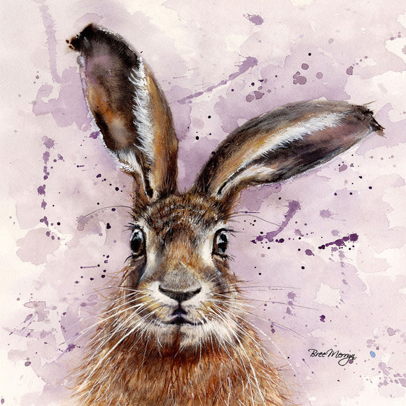 Bree Merryn  Box Canvas Print Horatio Hare 40cm x 40cm Boxed - Gifteasy Online