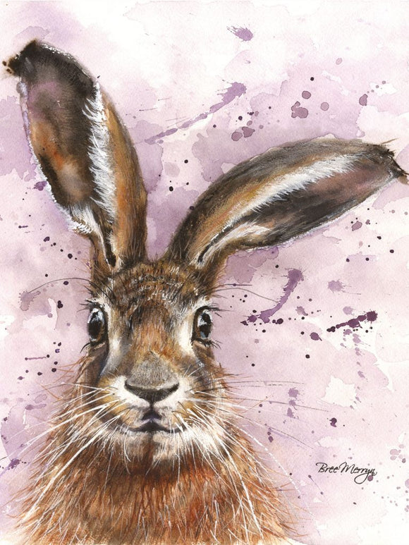 Bree Merryn Canvas Cuties Horatio Hare Canvas 15 x 20cm Boxed - Gifteasy Online