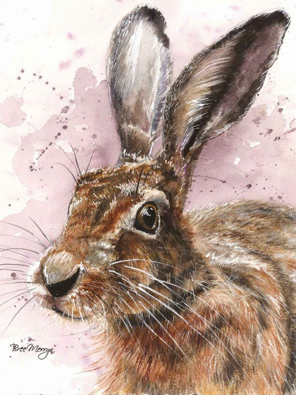 Bree Merryn Canvas Cuties Howard Hare Canvas 15 x 20cm Boxed - Gifteasy Online