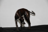 Unique Bronze Solid Bronze Standing Greyhound by Muhmood Tahir - Gifteasy Online