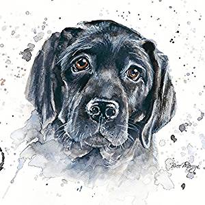 Bree Merryn luna Black Labrador Canvas Print 40cm - Gifteasy Online