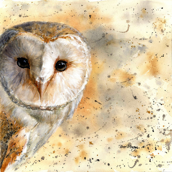 Bree Merryn Box Canvas Print Colourful Olive Owl 40cm x 40cm Boxed - Gifteasy Online