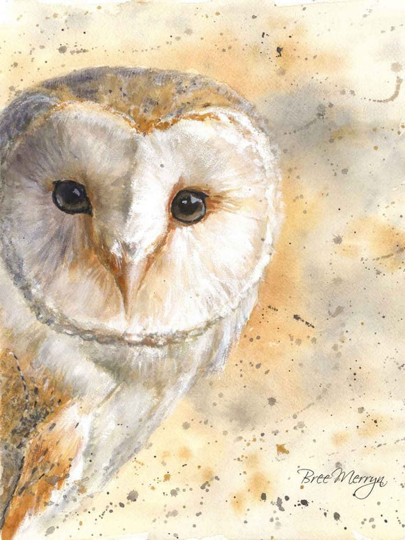 Bree Merryn Canvas Cuties Olive Barn Owl Canvas 15 x 20cm - Gifteasy Online