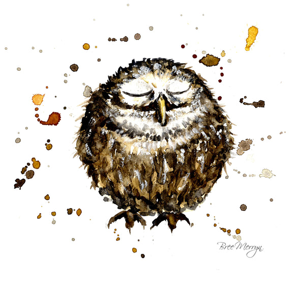 Bree Merryn  Box Canvas Print Oscar Owl 40cm x 40cm Boxed - Gifteasy Online