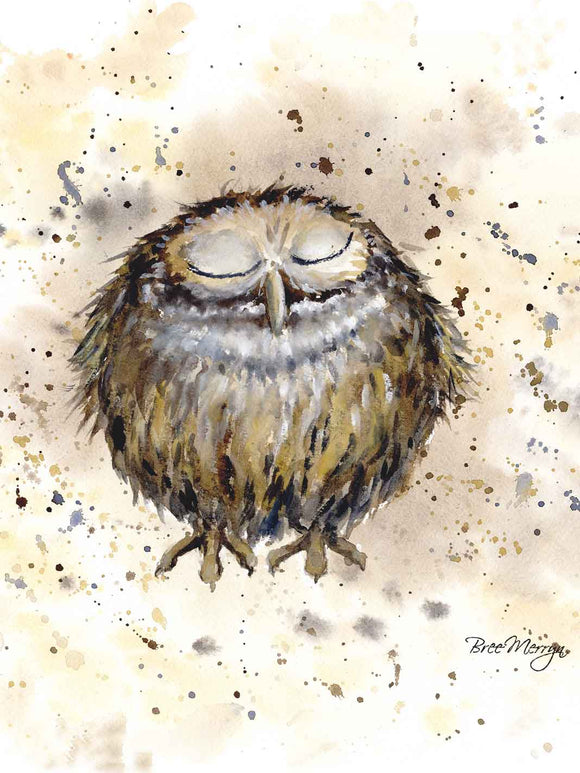 Bree Merryn  Canvas Cuties Oscar Owl Canvas 15 x 20cm - Gifteasy Online