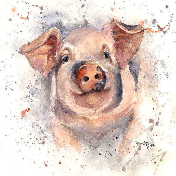 Bree Merryn  Box Canvas Print Patrick Pig 40cm x 40cm Boxed - Gifteasy Online
