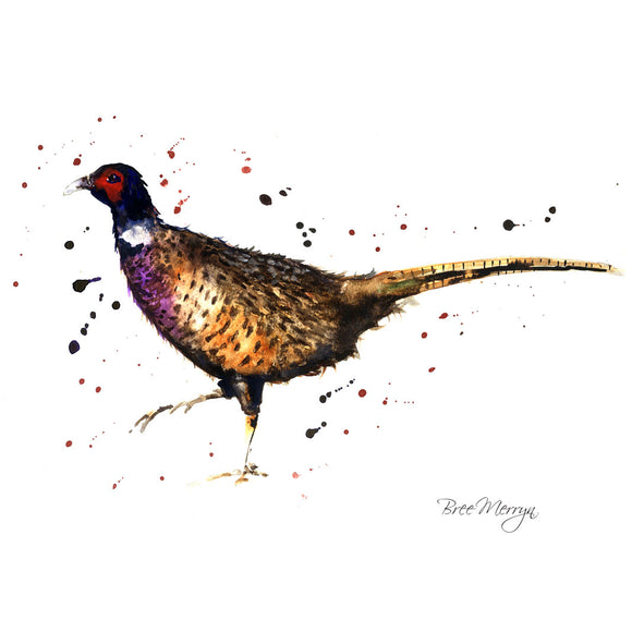 Bree Merryn  Box Canvas Print Phil Pheasant 40cm x 40cm - Gifteasy Online