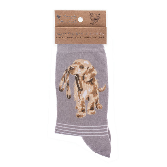 Wrendale Dog Sock 'Hopeful' - Gifteasy Online