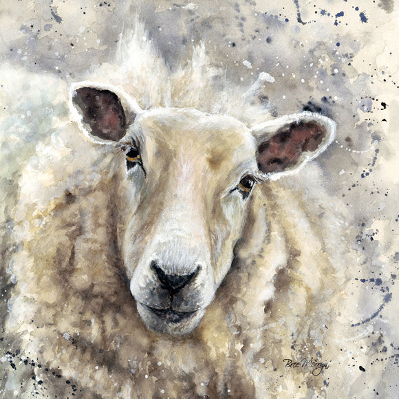 Bree Merryn  Box Canvas Print Sheila Sheep 40cm x 40cm - Gifteasy Online
