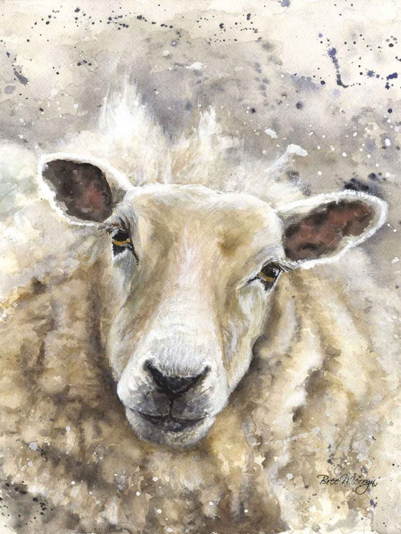 Bree Merryn Canvas Cuties Sheila Sheep Canvas 15 x 20cm Boxed - Gifteasy Online