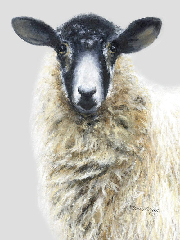 Bree Merryn Shelley Sheep Canvas Cutie - Gifteasy Online