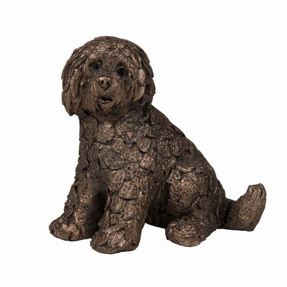 Frith Shorty Labradoodle sitting - Gifteasy Online