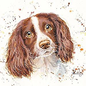 Bree Merryn Sky Springer Spaniel Canvas Print 40cm - Gifteasy Online