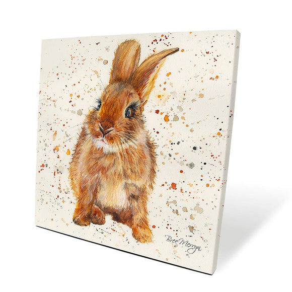 Bree Merryn Bella Bunny Canvas 40cm - Gifteasy Online