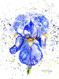 Bree Merryn Blue Iris Canvas Cutie - Gifteasy Online
