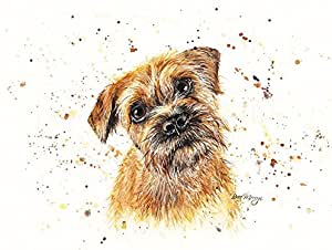 Bree Merryn Buddy Border Terrier Canvas Cutie - Gifteasy Online