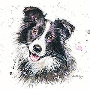 Bree Merryn Carson Sheepdog Border Collie Canvas Print 40cm - Gifteasy Online