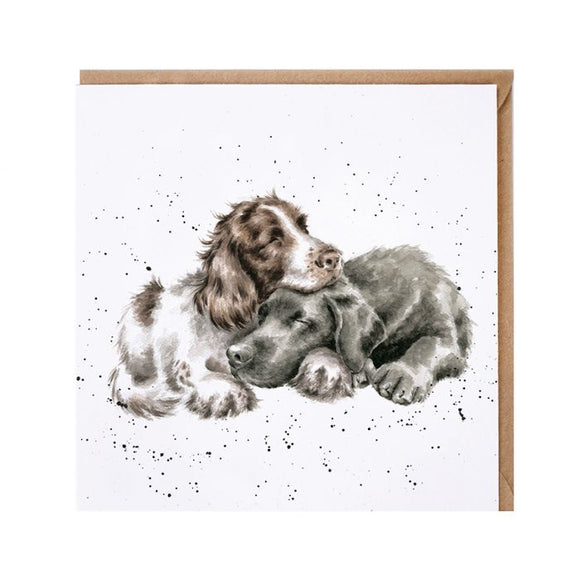 Wrendale 'Growing Old Together' Dog Card - Gifteasy Online