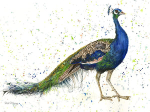 Bree Merryn Peaky Blinder Peacock Canvas Cutie - Gifteasy Online