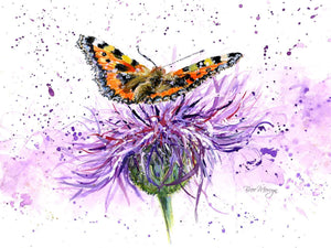 Bree Merryn Purple Haze Canvas Cutie - Gifteasy Online
